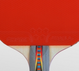 KRAFLA Champ 3.0 Ракетка для н/т, фото 5