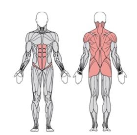 Твистер сидя одинарный  УТЭ-042П , фото 3