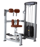 Изображение товара BRONZE GYM D-011_C Торс-машина