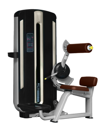 BRONZE GYM MNM-009 Разгибание спины, фото 1