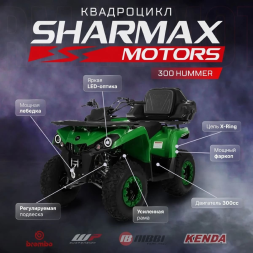 Квадроцикл SHARMAX Hummer 300, фото 2