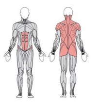 Твистер стоя и балансир сидя двойной  УТЭ-043П 