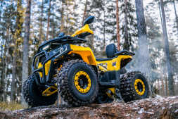 Квадроцикл WELS Thunder Trail 125 PRO, фото 4