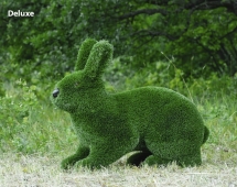 Топиари заяц большой, Чики - газон Deluxe Green