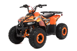 Квадроцикл SHARMAX Cross 150 (2024), фото 1