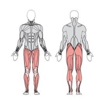 Шагатель двойной УТЭ-045П 
