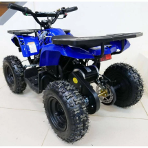 Квадроцикл MOTAX Mini Grizlik X-16 1000W New