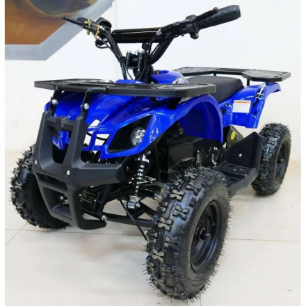 Квадроцикл MOTAX Mini Grizlik X-16 1000W New, фото 1