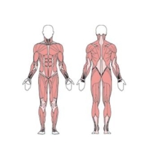 Эллипс одинарный  УТЭ-046П 