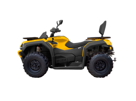 Квадроцикл HISUN Guardian 400L Long, фото 2