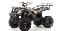 Квадроцикл HAMMER Hunter 300, фото 1