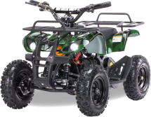 Квадроцикл МОТОМИР Target Trek