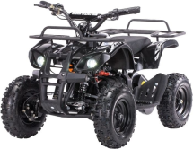 Квадроцикл МОТОМИР Target Trek