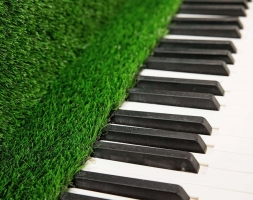 Топиари рояль Екатерины - газон Eco, фото 5