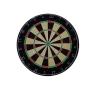 Изображение товара Дартс Champion BL1818B