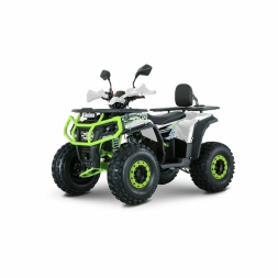 Квадроцикл YACOTA DRAGON 125 LUX, фото 4 Квадроцикл YACOTA DRAGON 125 LUX, фото 4