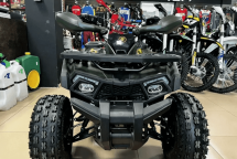 Квадроцикл YAMAHA Shark 175