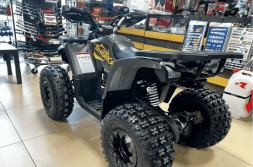 Квадроцикл YAMAHA Shark 175, фото 7