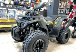 Квадроцикл YAMAHA Shark 175, фото 2