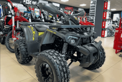 Квадроцикл YAMAHA Shark 175, фото 1