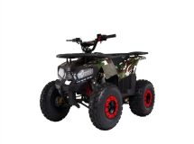 Квадроцикл WELS 125 thunder E2