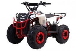 Квадроцикл WELS Thunder EVO M детский, фото 1