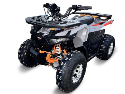 Квадроцикл GBM Daxter 220 NEW premium, фото 1