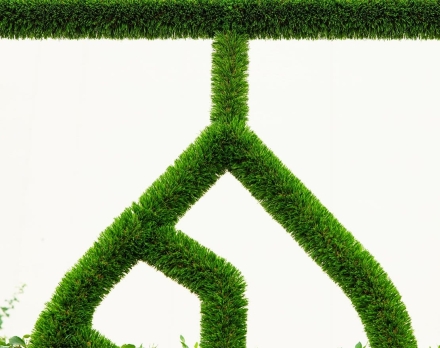 Топиари стела Ботаника - газон Deluxe, фото 3