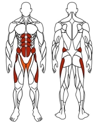 Хипс+Маятник (серый) - Уличный тренажер - СТ 024-13.П, фото 6