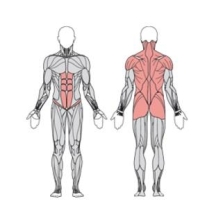 Балансир сидя двойной  УТЭ-049П