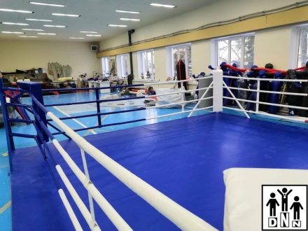 Ринг боксёрский на упорах 4х4м Эконом (боевая зона 3х3м, монтажная площадка 4х4м) DNN, фото 3