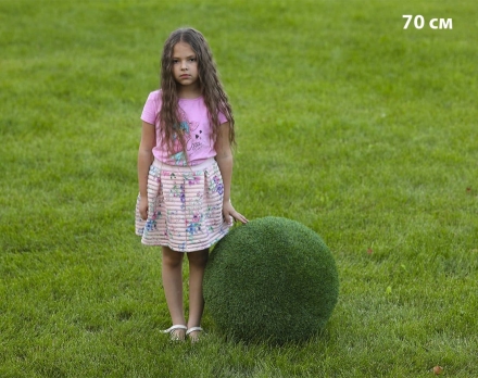 Топиари Шар в виде куста туи, 40 см - газон Eco, фото 3
