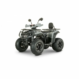 Квадроцикл YACOTA DRAGON 125 LUX-LD, фото 1 Квадроцикл YACOTA DRAGON 125 LUX-LD, фото 1