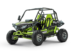 Багги SHARMAX XForce 320 Sport, фото 9