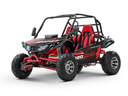 Багги SHARMAX XForce 320 Sport, фото 4