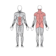 Балансир сидя одинарный  УТЭ-050П 