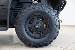 Квадроцикл HISUN Guardian 750S Short (ПСМ), фото 16