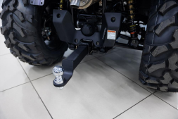 Квадроцикл HISUN Guardian 750S Short (ПСМ), фото 8