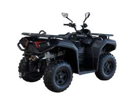 Квадроцикл HISUN Guardian 750S Short (ПСМ), фото 7