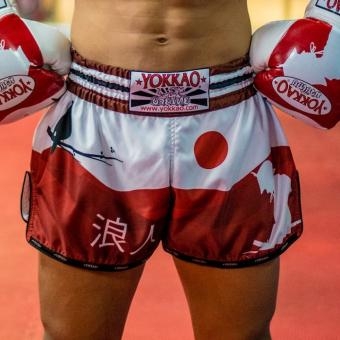 Тайские Шорты Yokkao yoktshorts013, фото 2