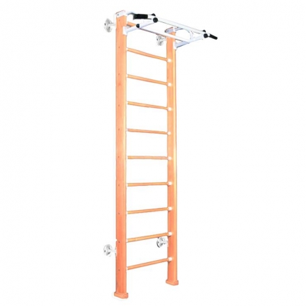 Детский спортивный комплекс (ДСК) &quot;Карусель 2Д.03.02&quot; к стене, светлый, фото 1