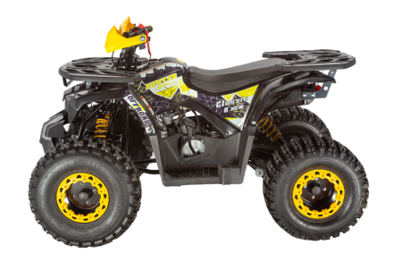 Квадроцикл AVANTIS Classic 8 New, фото 2