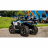Квадроцикл MotoLand ATV 300 MAX X, с ПСМ