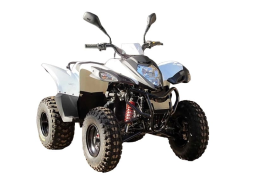 Квадроцикл ADLY ATV-150S, фото 2 Квадроцикл ADLY ATV-150S, фото 2