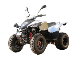 Квадроцикл ADLY ATV-150S, фото 1 Квадроцикл ADLY ATV-150S, фото 1