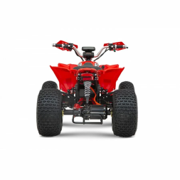 Квадроцикл YACOTA E-Sport 3000W LD, фото 5 Квадроцикл YACOTA E-Sport 3000W LD, фото 5