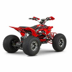 Квадроцикл YACOTA E-Sport 3000W LD, фото 4 Квадроцикл YACOTA E-Sport 3000W LD, фото 4