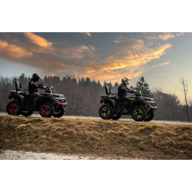 Квадроцикл TGB Blade 1000 LTX EPS Premium