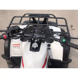 Квадроцикл YACOTA SELA 200, фото 17 Квадроцикл YACOTA SELA 200, фото 17