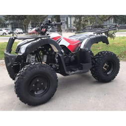 Квадроцикл YACOTA SELA 200, фото 7 Квадроцикл YACOTA SELA 200, фото 7